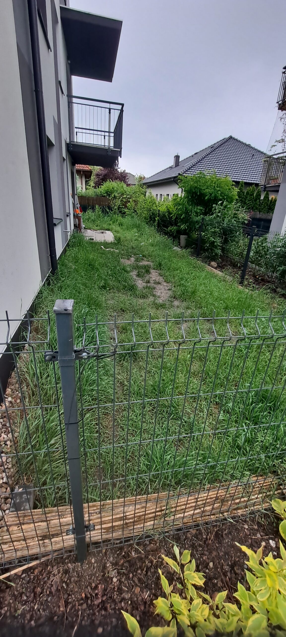 Zaniedbana działka i zachwaszczony teren przed metamorfozą – profesjonalne projektowanie i zakładanie ogrodów Wrocław.